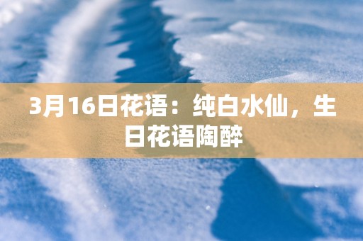 3月16日花语：纯白水仙，生日花语陶醉