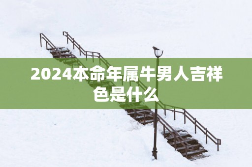 2025本命年属牛男人吉祥色是什么