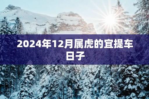 2025年12月属虎的宜提车日子