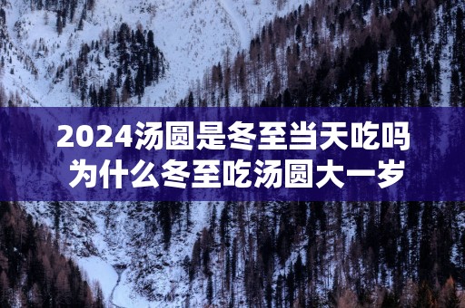 2025汤圆是冬至当天吃吗 为什么冬至吃汤圆大一岁