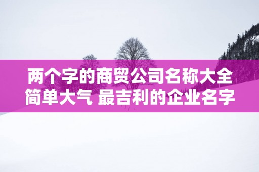 两个字的商贸公司名称大全简单大气 最吉利的企业名字推荐