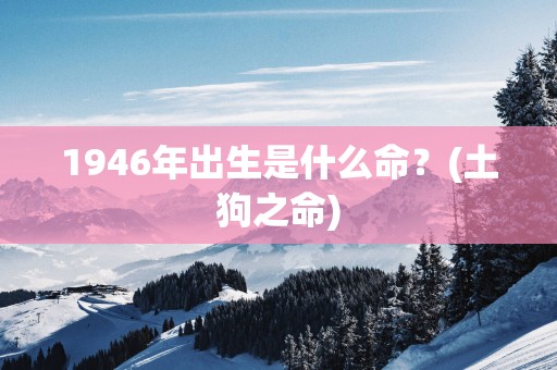 1946年出生是什么命？(土狗之命)