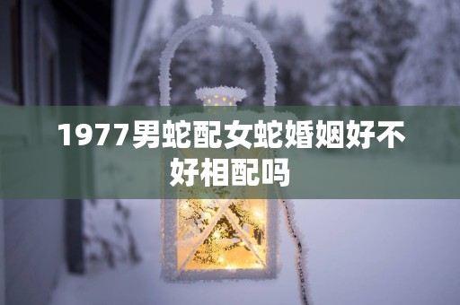 1977男蛇配女蛇婚姻好不好相配吗