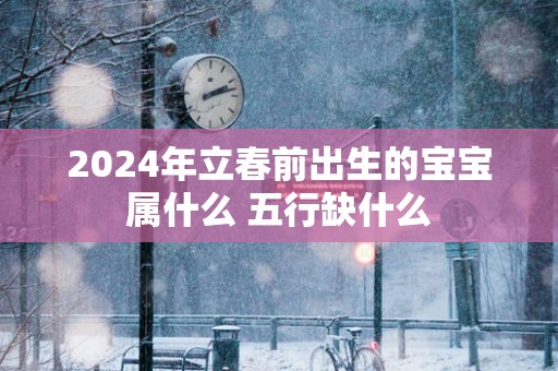 2025年立春前出生的宝宝属什么 五行缺什么