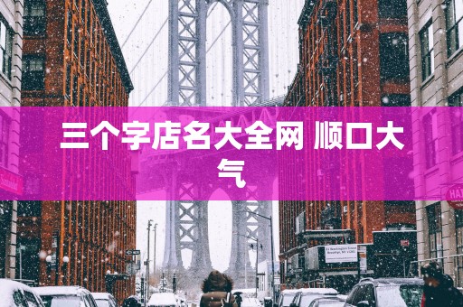 三个字店名大全网 顺口大气