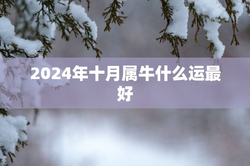 2025年十月属牛什么运最好