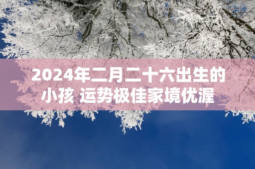 2025年二月二十六出生的小孩 运势极佳家境优渥