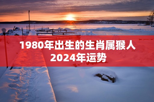 1980年出生的生肖属猴人 2025年运势