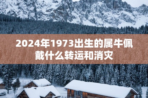 2025年1973出生的属牛佩戴什么转运和消灾