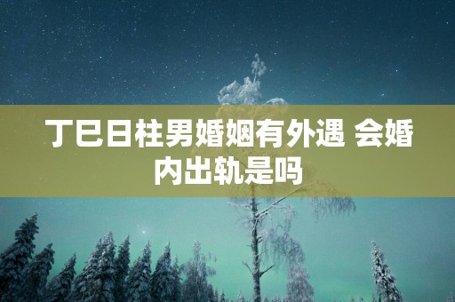 丁巳日柱男婚姻有外遇 会婚内出轨是吗