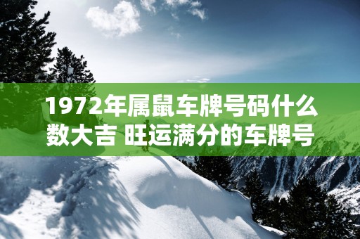 1972年属鼠车牌号码什么数大吉 旺运满分的车牌号码