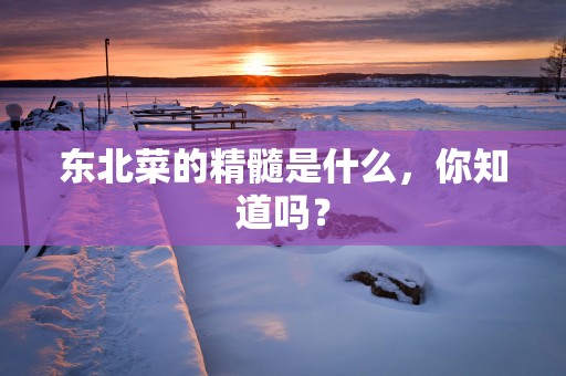 东北菜的精髓是什么，你知道吗？