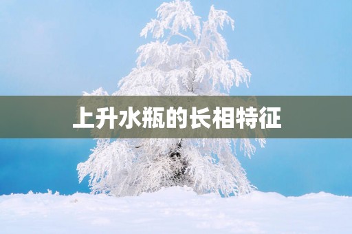 上升水瓶的长相特征