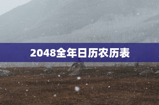 2048全年日历农历表