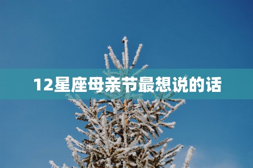 12星座母亲节最想说的话