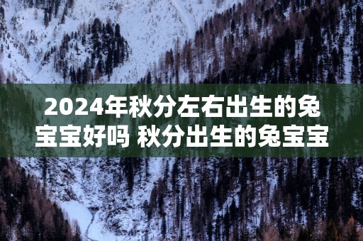 2025年秋分左右出生的兔宝宝好吗 秋分出生的兔宝宝命运