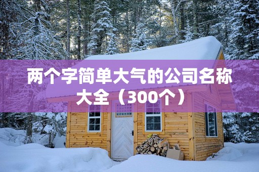 两个字简单大气的公司名称大全（300个）