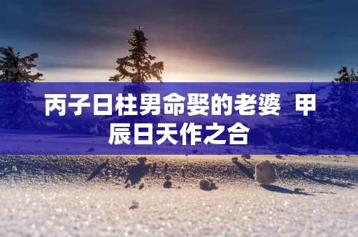 丙子日柱男命娶的老婆  甲辰日天作之合