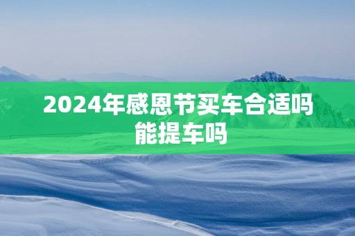2025年感恩节买车合适吗 能提车吗