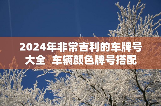 2025年非常吉利的车牌号大全  车辆颜色牌号搭配