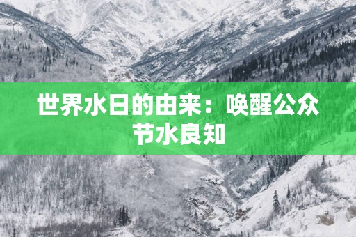 世界水日的由来：唤醒公众节水良知