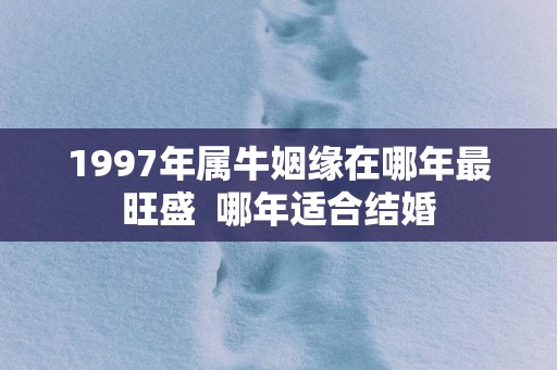 1997年属牛姻缘在哪年最旺盛  哪年适合结婚