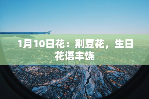 1月10日花：荆豆花，生日花语丰饶