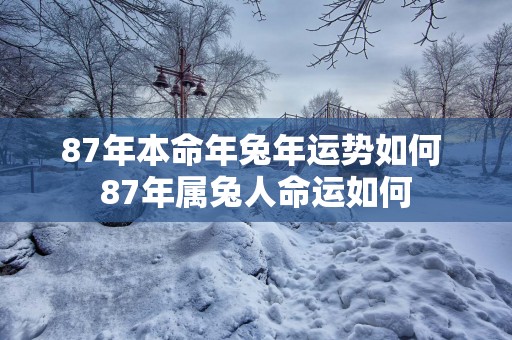 87年本命年蛇年运势如何 87年属兔人命运如何