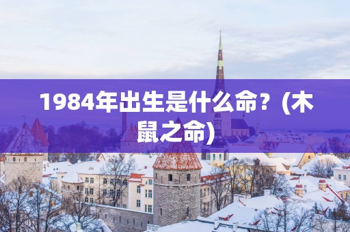1984年出生是什么命？(木鼠之命)