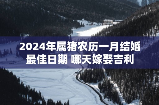 2025年属猪农历一月结婚最佳日期 哪天嫁娶吉利