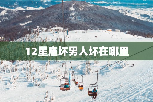 12星座坏男人坏在哪里
