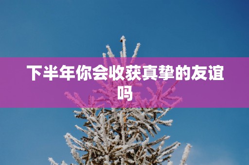 下半年你会收获真挚的友谊吗