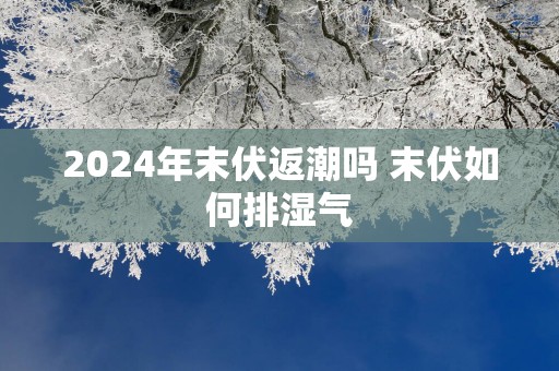 2025年末伏返潮吗 末伏如何排湿气