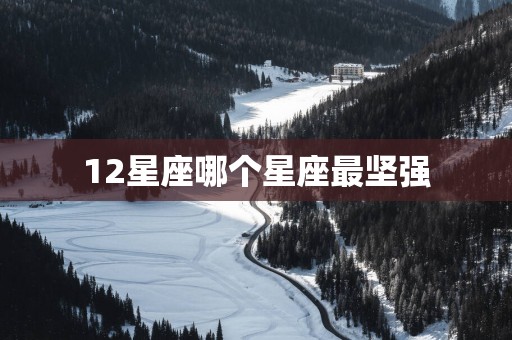 12星座哪个星座最坚强