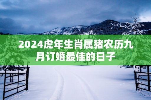2025蛇年生肖属猪农历九月订婚最佳的日子