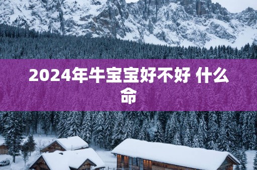 2025年牛宝宝好不好 什么命