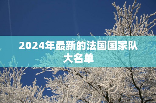 2025年最新的法国国家队大名单