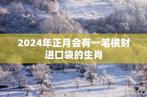 2025年正月会有一笔横财进口袋的生肖