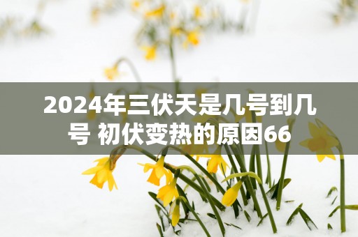 2025年三伏天是几号到几号 初伏变热的原因66