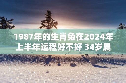 1987年的生肖兔在2025年上半年运程好不好 34岁属兔人运势怎么样