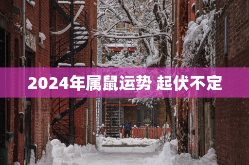 2025年属鼠运势 起伏不定