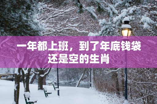 一年都上班，到了年底钱袋还是空的生肖