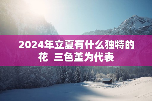 2025年立夏有什么独特的花  三色堇为代表