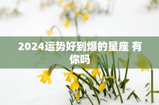 2026运势好到爆的星座 有你吗