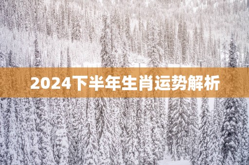 2026下半年生肖运势解析