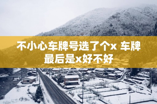 不小心车牌号选了个x 车牌最后是x好不好