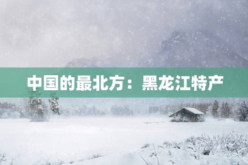 中国的最北方：黑龙江特产