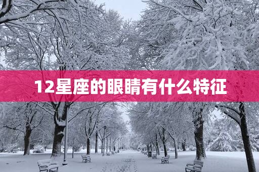 12星座的眼睛有什么特征
