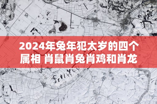 2025年蛇年犯太岁的四个属相 肖鼠肖兔肖鸡和肖龙