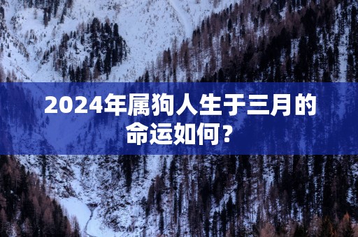 2025年属狗人生于三月的命运如何？